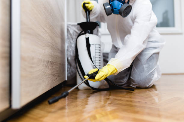 Best Best Pest Control Companies  in West Memphis, AR
