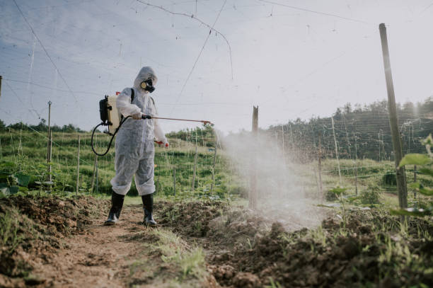 Best Best Pest Control Companies  in West Memphis, AR