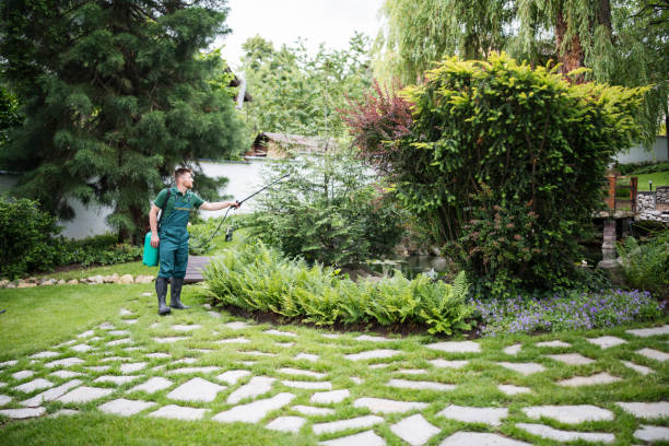 Best Pest Prevention Services  in West Memphis, AR