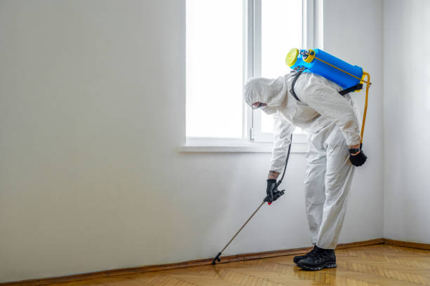 Flea Control Services in West Memphis, AR