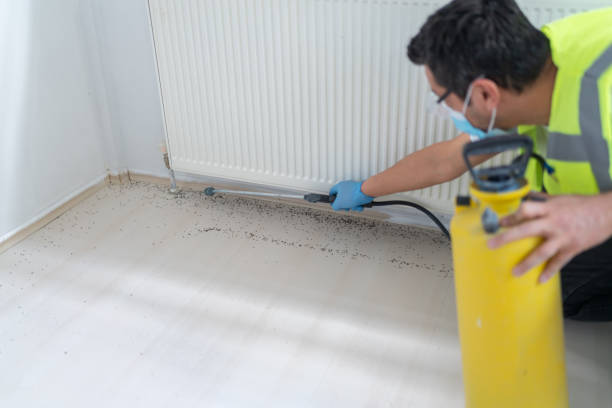 Best Termite Control Services  in West Memphis, AR